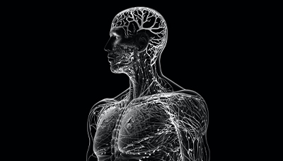At Will: The Voluntary Brain-Body Connection